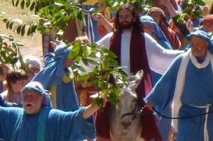 Jesus donkey 3